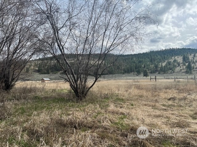 23 Tbd Blue Star Road Tonasket, WA 98855 - Photo 7 of 28 Gallery Image 7