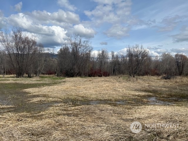 23 Tbd Blue Star Road Tonasket, WA 98855 - Photo 8 of 28 Gallery Image 8