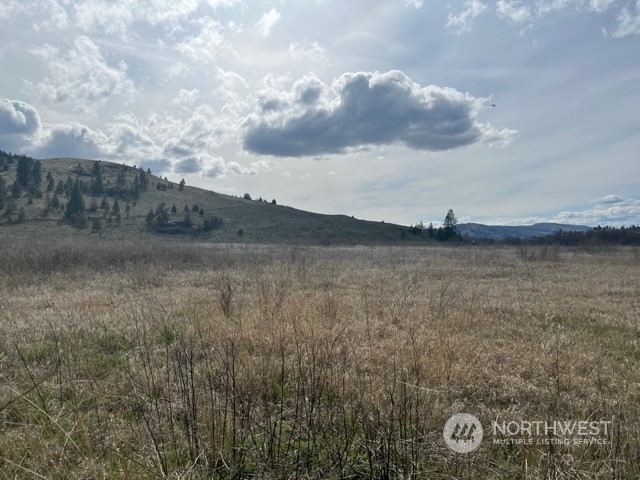 23 Tbd Blue Star Road Tonasket, WA 98855 - Photo 9 of 28 Gallery Image 9