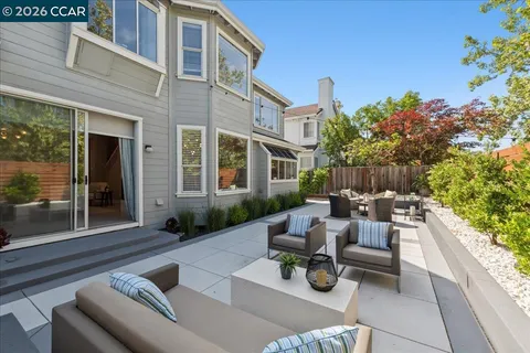 a view of a patio with couches and a potted plant on a table