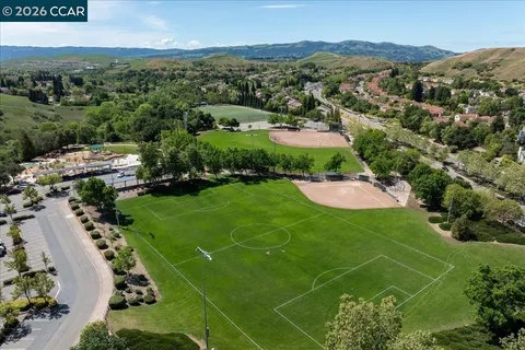 a view of a park that has a tree on the side of it