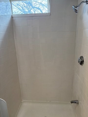 5 Winthrop Street, Unit 3 Boston, MA 02119 - Photo 6 of 18 Gallery Image 6