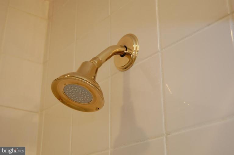 3650 Hilmar Road Windsor Mill, MD 21244 - Photo 20 of 30 Main Bath Shower Spray