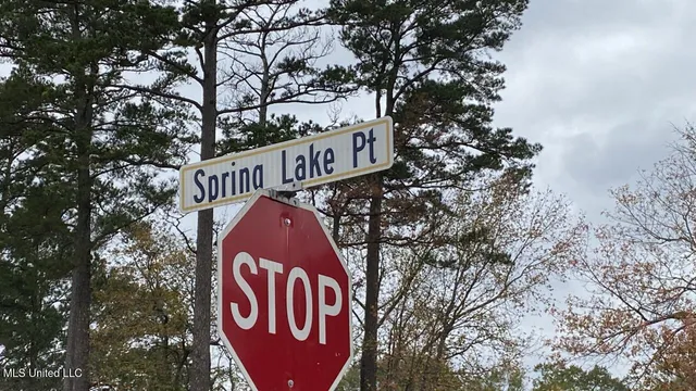 $106,000 | 7 Spring Lake Point, Pearl, MS 39208