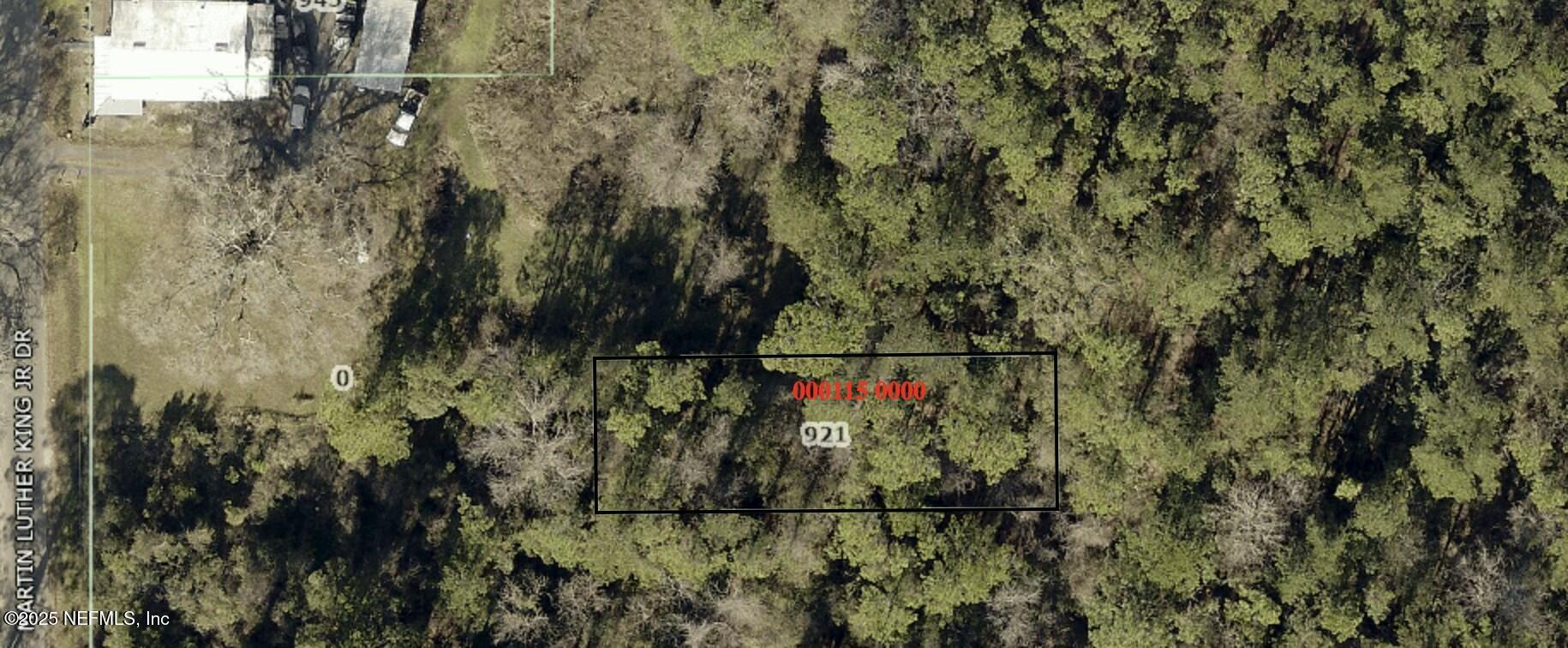 921 Palmetto Avenue Baldwin, FL 32234 - Photo 2 of 2