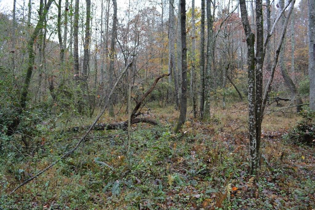 1370 Murray Road Elkin, NC 28621 - Photo 20 of 26 Gallery Image 20