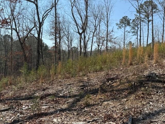 0 Timberline Trail Talking Rock, GA 30175 - Photo 7 of 7 a view of backyard with green space