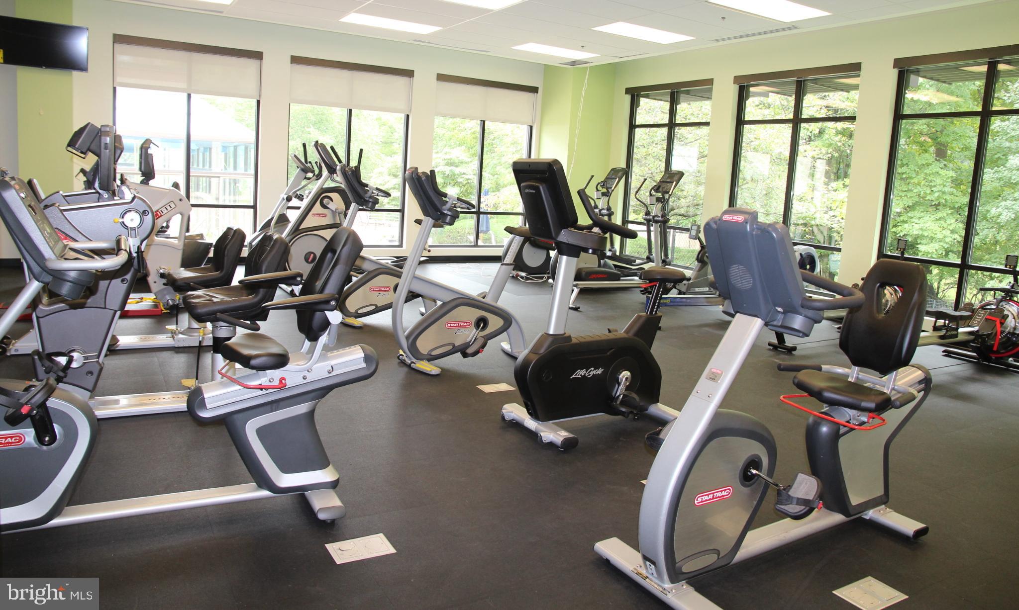 15107 Interlachen Drive, Unit 2815 Silver Spring, MD 20906 - Photo 13 of 35 Modern fitness center with ample natural light.