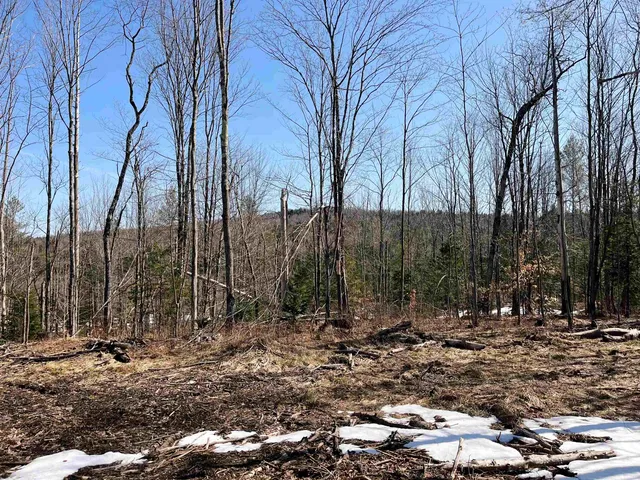 $375,000 | 0 Blodgett Road, Lowell, VT 05847