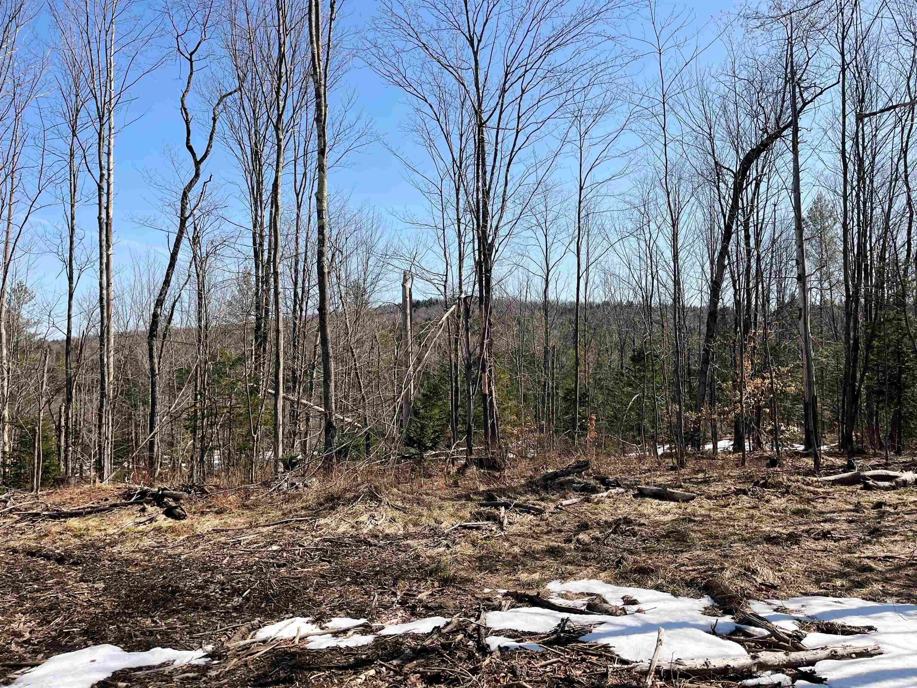 0 Blodgett Road Lowell, VT 05847 - Photo 12 of 22