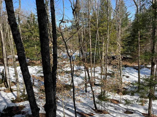 $375,000 | 0 Blodgett Road, Lowell, VT 05847