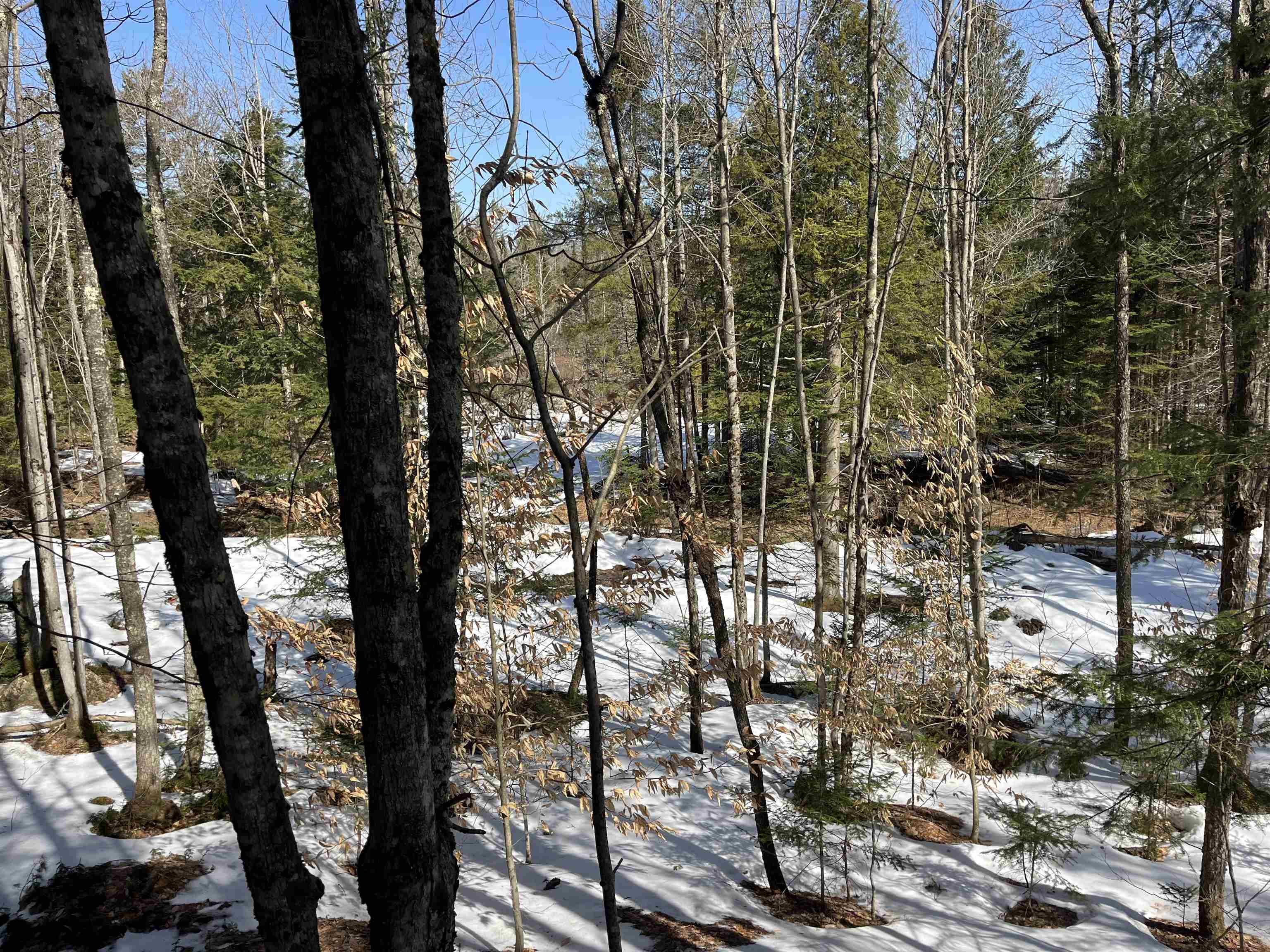 0 Blodgett Road Lowell, VT 05847 - Photo 13 of 22