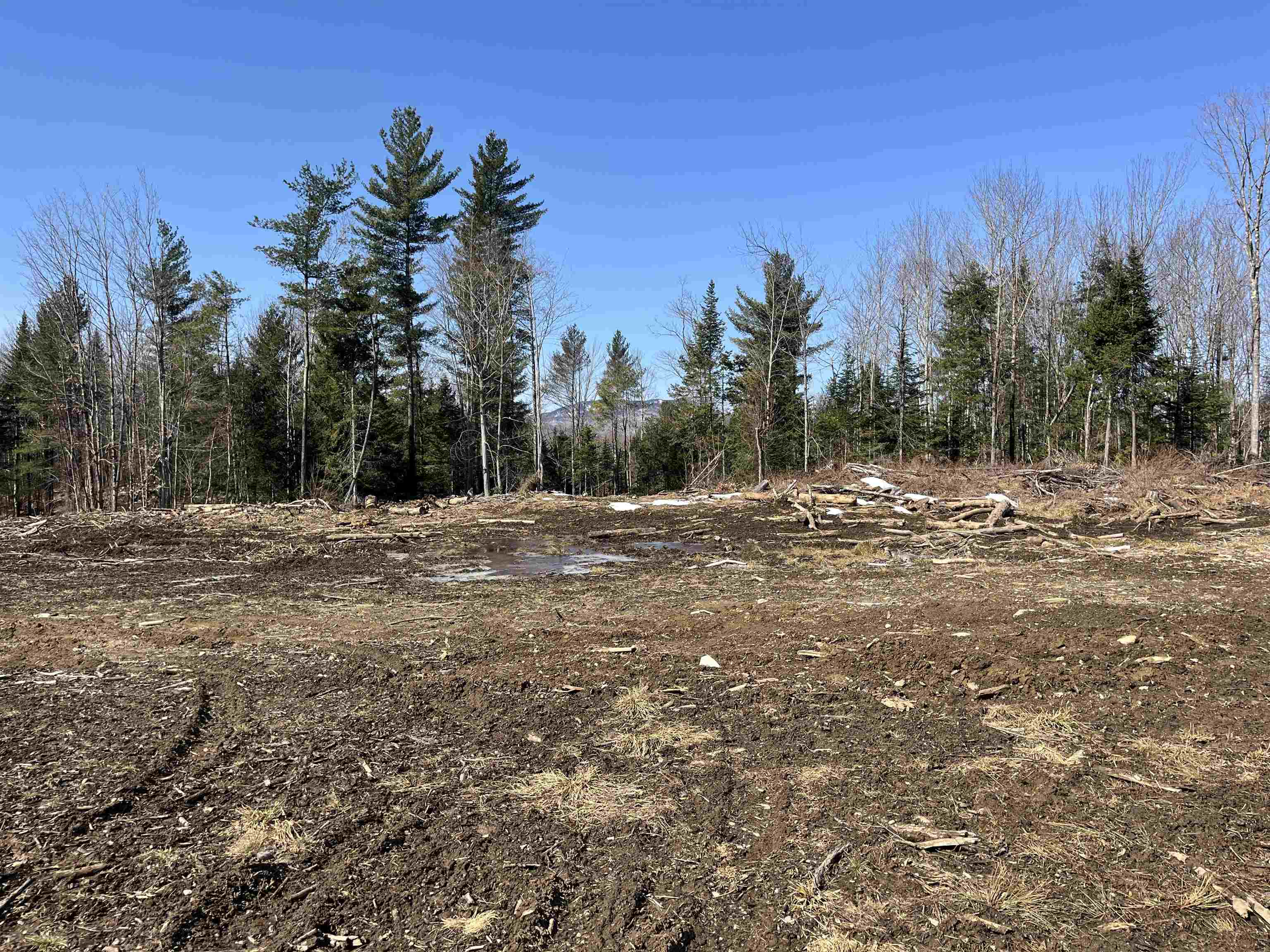 0 Blodgett Road Lowell, VT 05847 - Photo 15 of 22