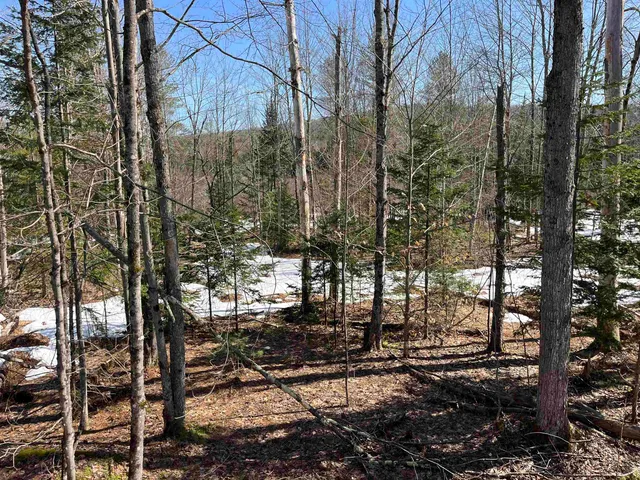$375,000 | 0 Blodgett Road, Lowell, VT 05847