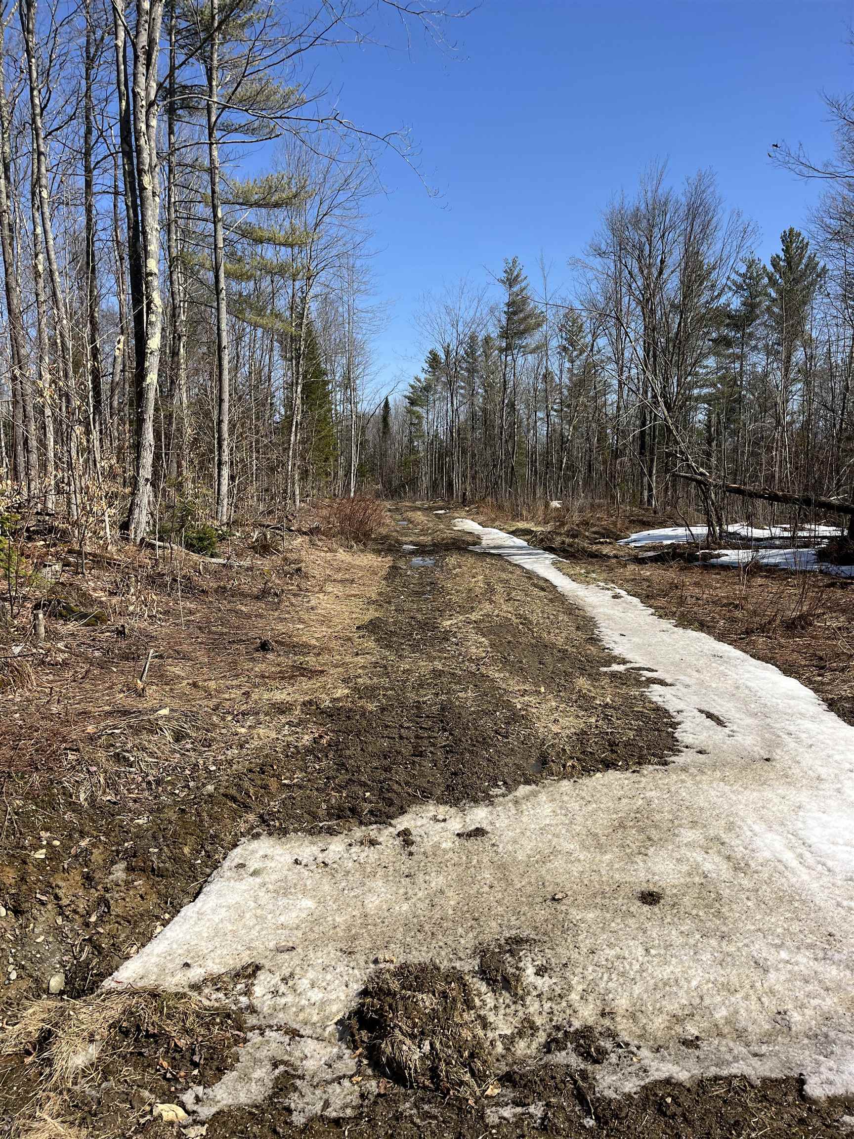 0 Blodgett Road Lowell, VT 05847 - Photo 19 of 22