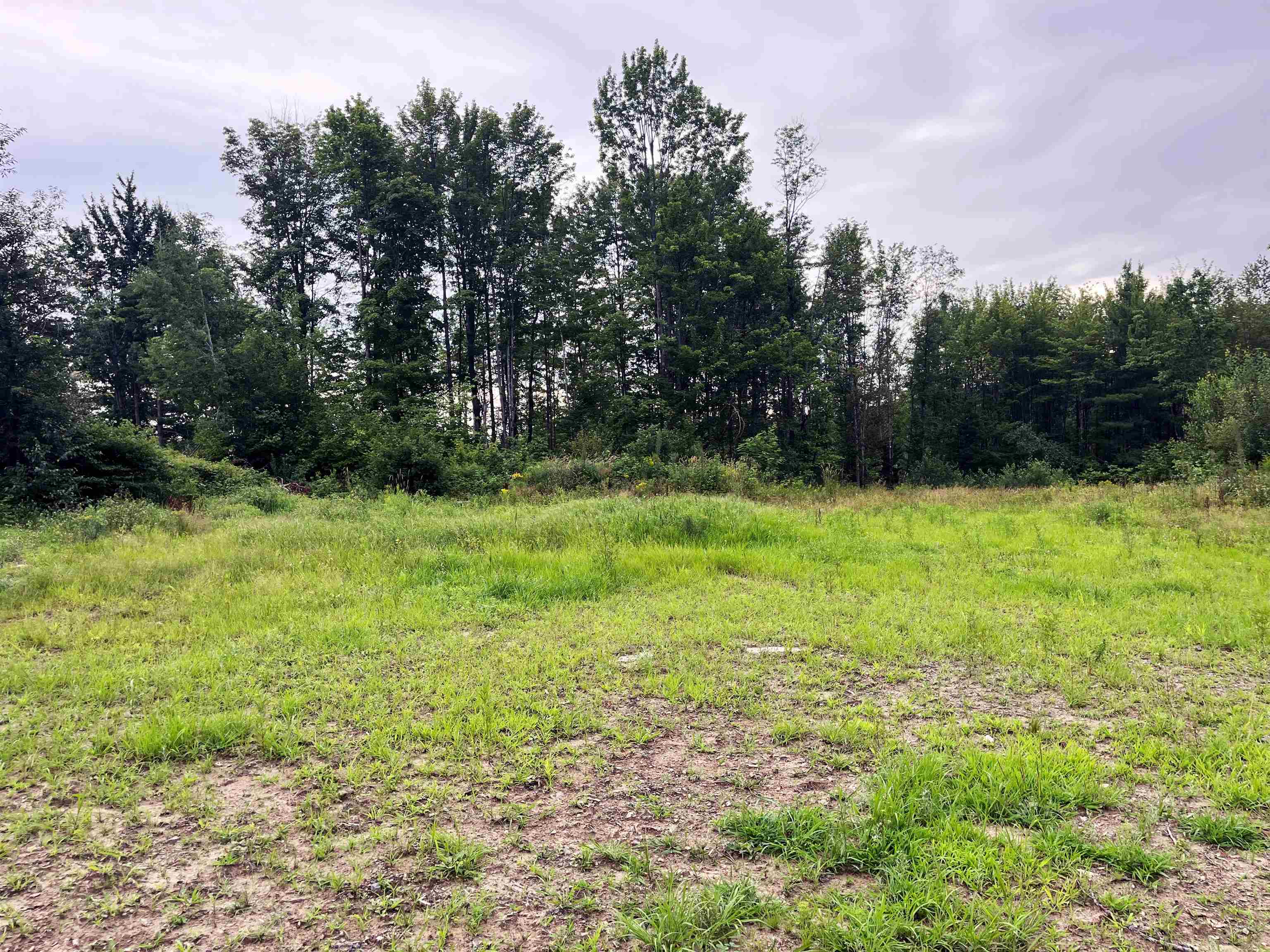 0 Blodgett Road Lowell, VT 05847 - Photo 2 of 22