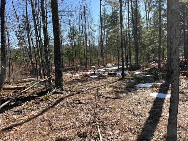 $375,000 | 0 Blodgett Road, Lowell, VT 05847