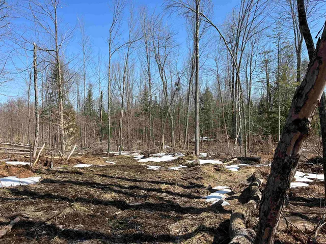 $375,000 | 0 Blodgett Road, Lowell, VT 05847