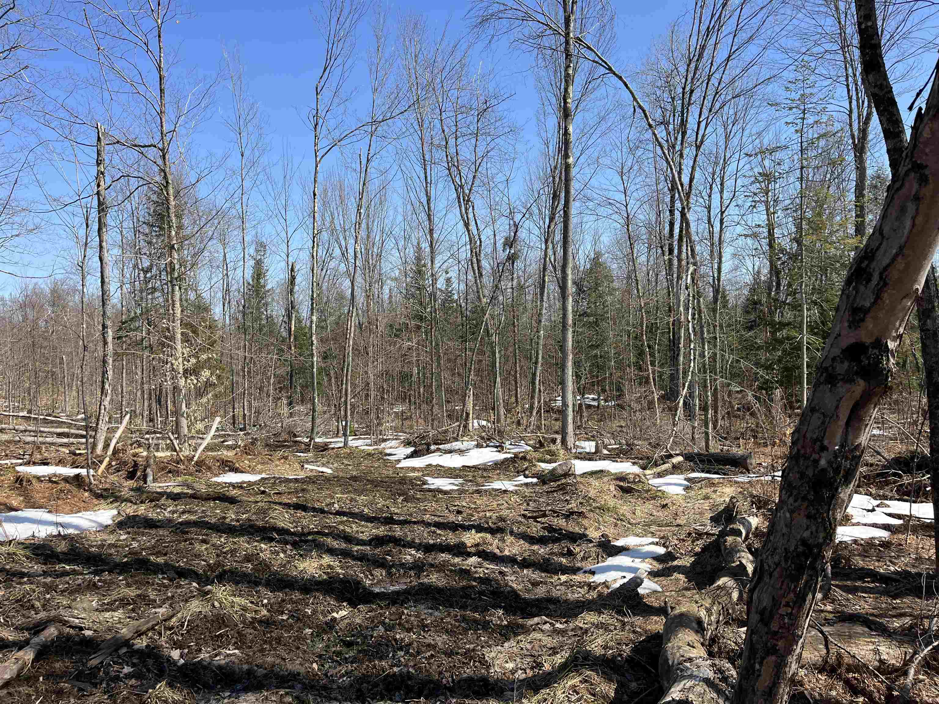 0 Blodgett Road Lowell, VT 05847 - Photo 22 of 22