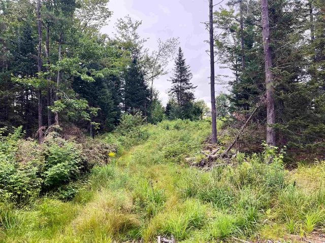 $375,000 | 0 Blodgett Road, Lowell, VT 05847