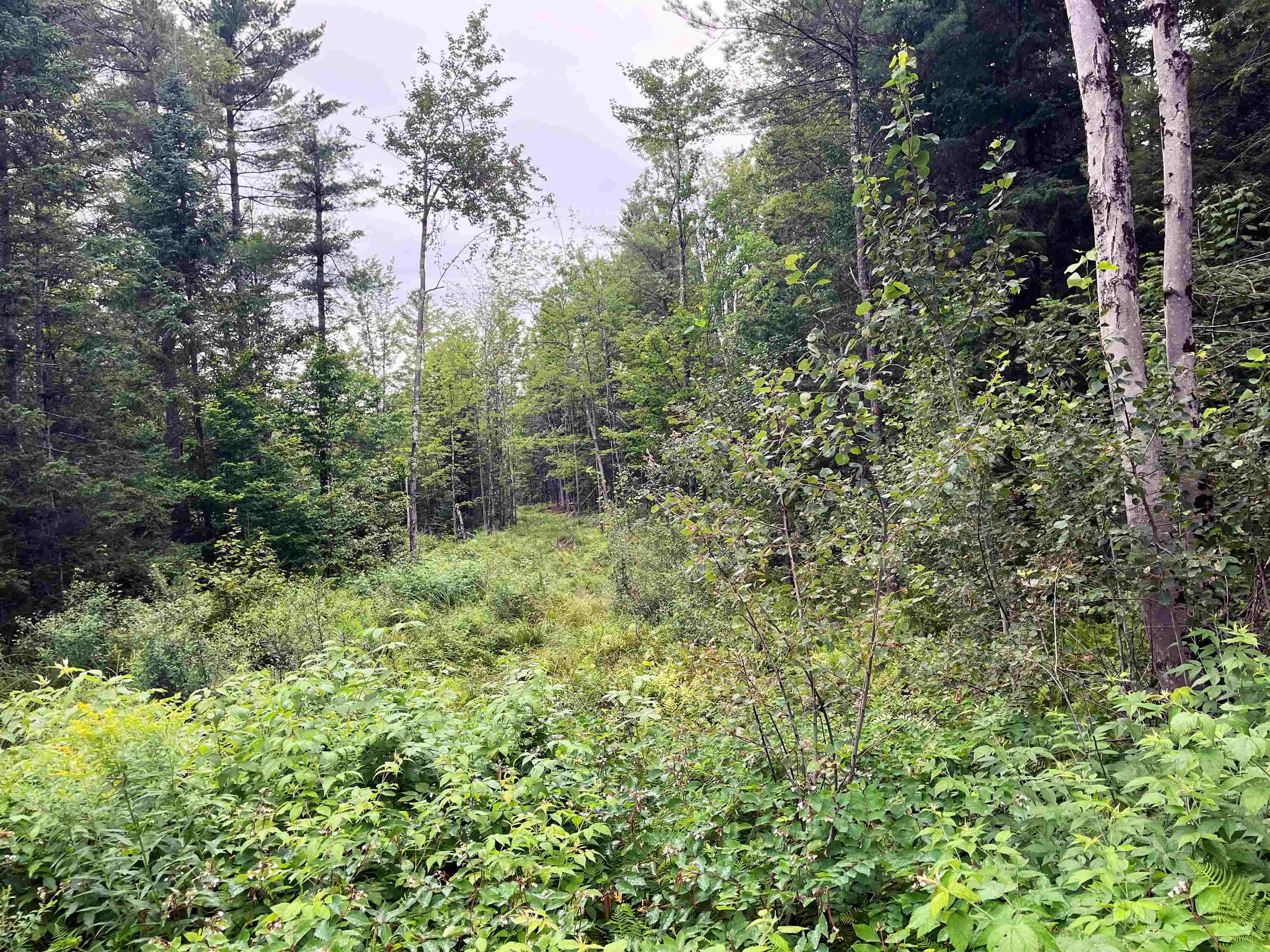 0 Blodgett Road Lowell, VT 05847 - Photo 5 of 22