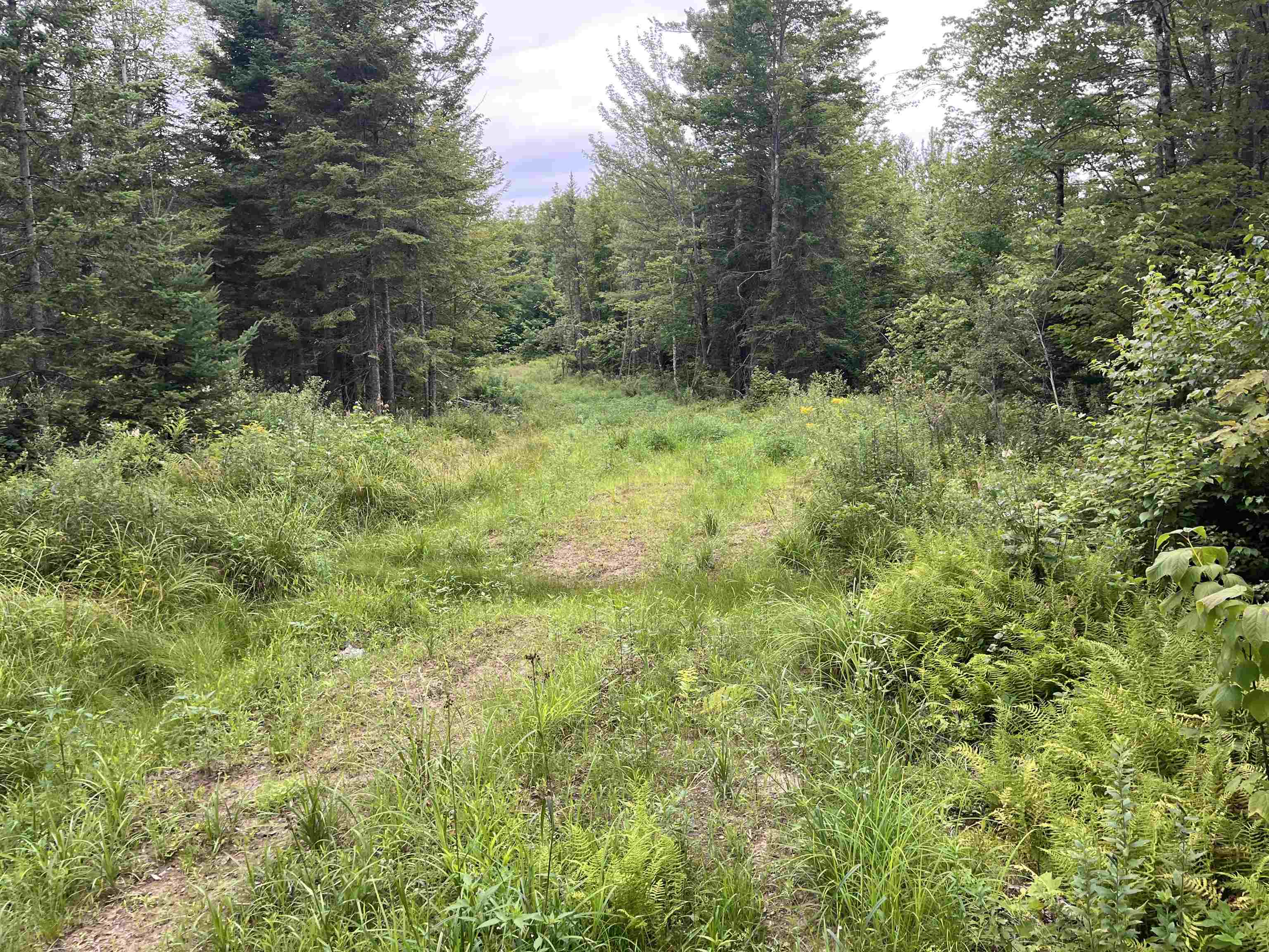 0 Blodgett Road Lowell, VT 05847 - Photo 6 of 22