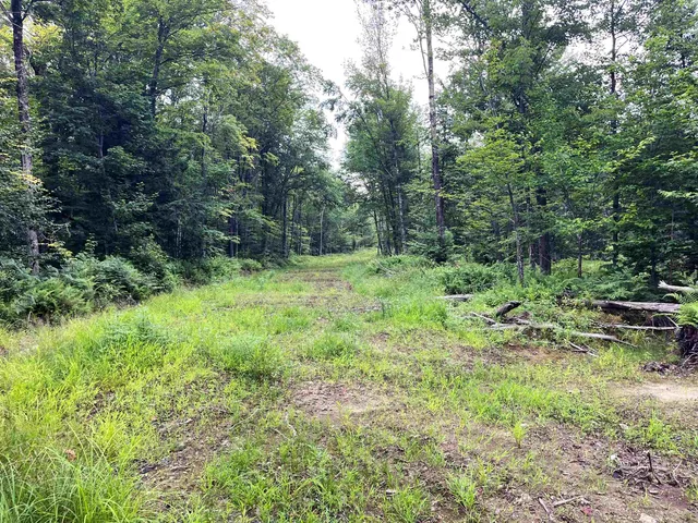 $375,000 | 0 Blodgett Road, Lowell, VT 05847