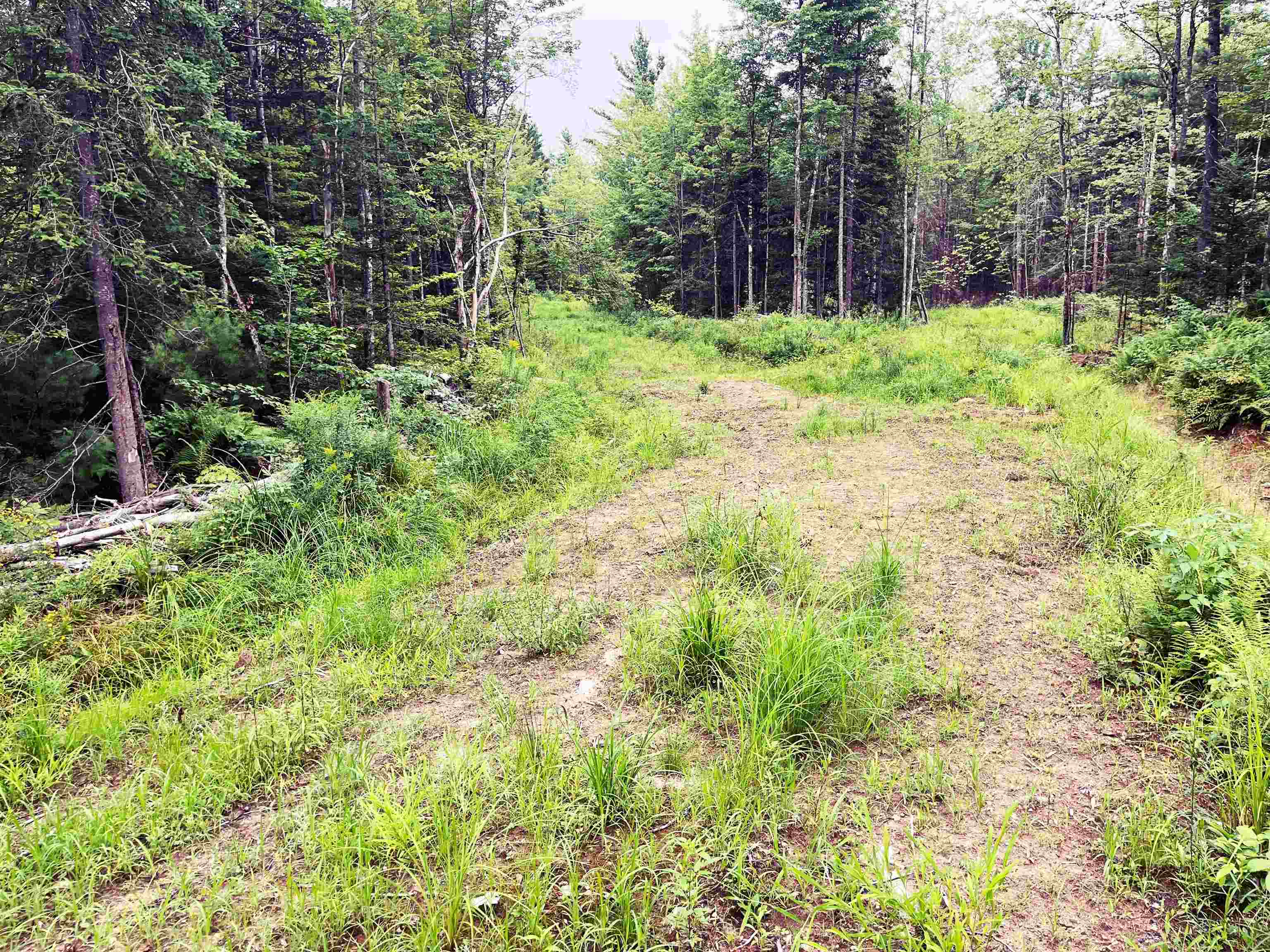 0 Blodgett Road Lowell, VT 05847 - Photo 8 of 22