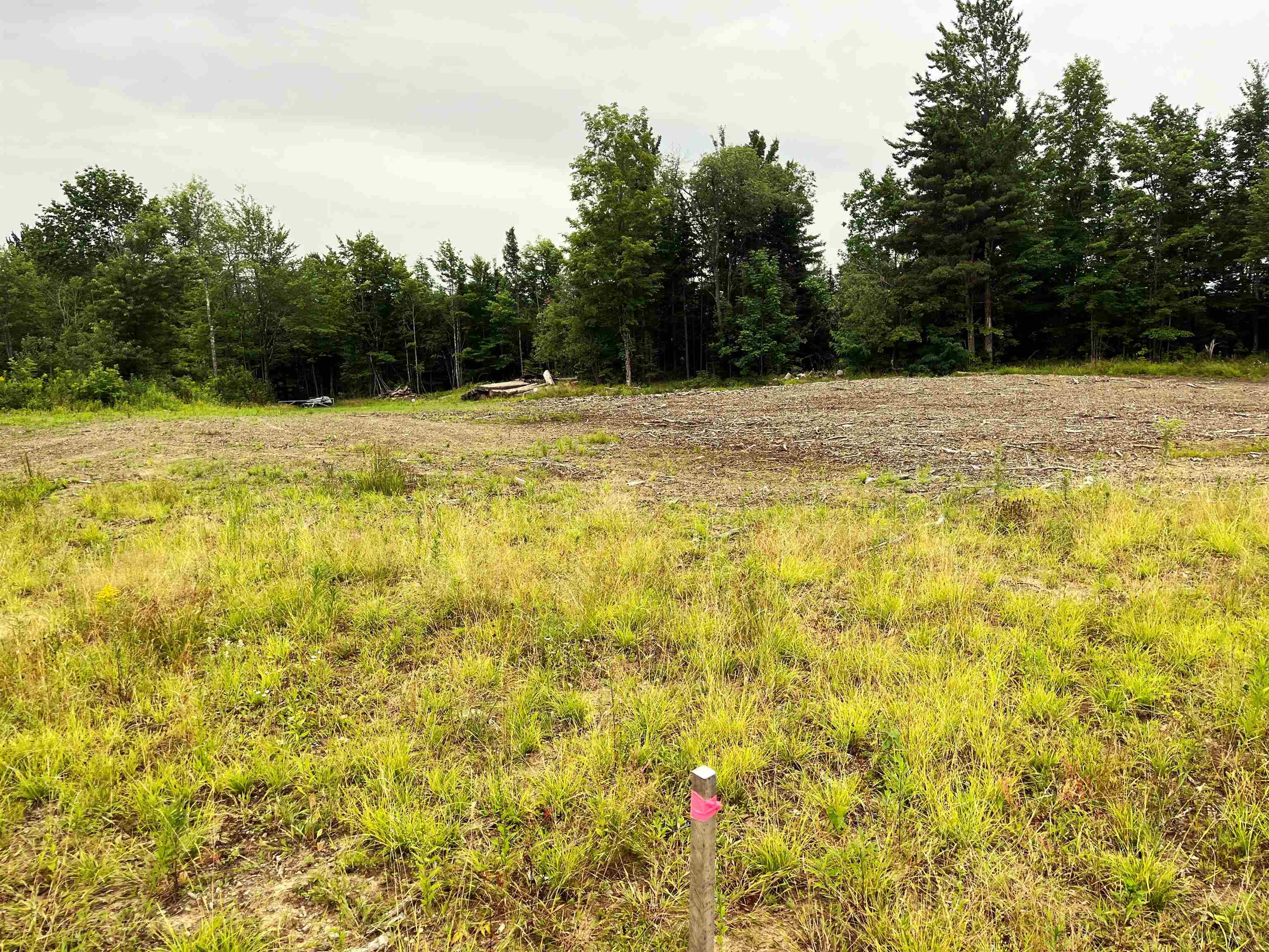 0 Blodgett Road Lowell, VT 05847 - Photo 9 of 22