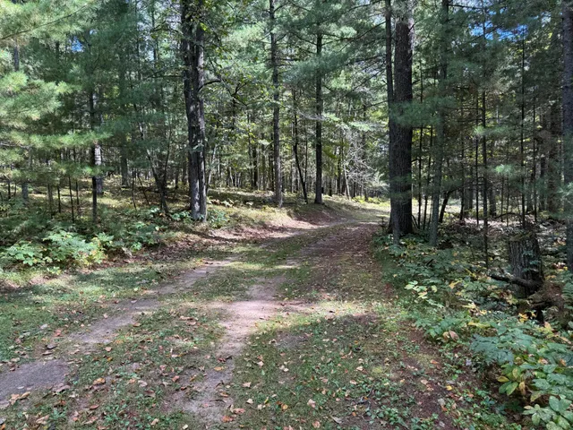 $309,000 | 14701 Chokecherry Drive, Nevis, MN 56467