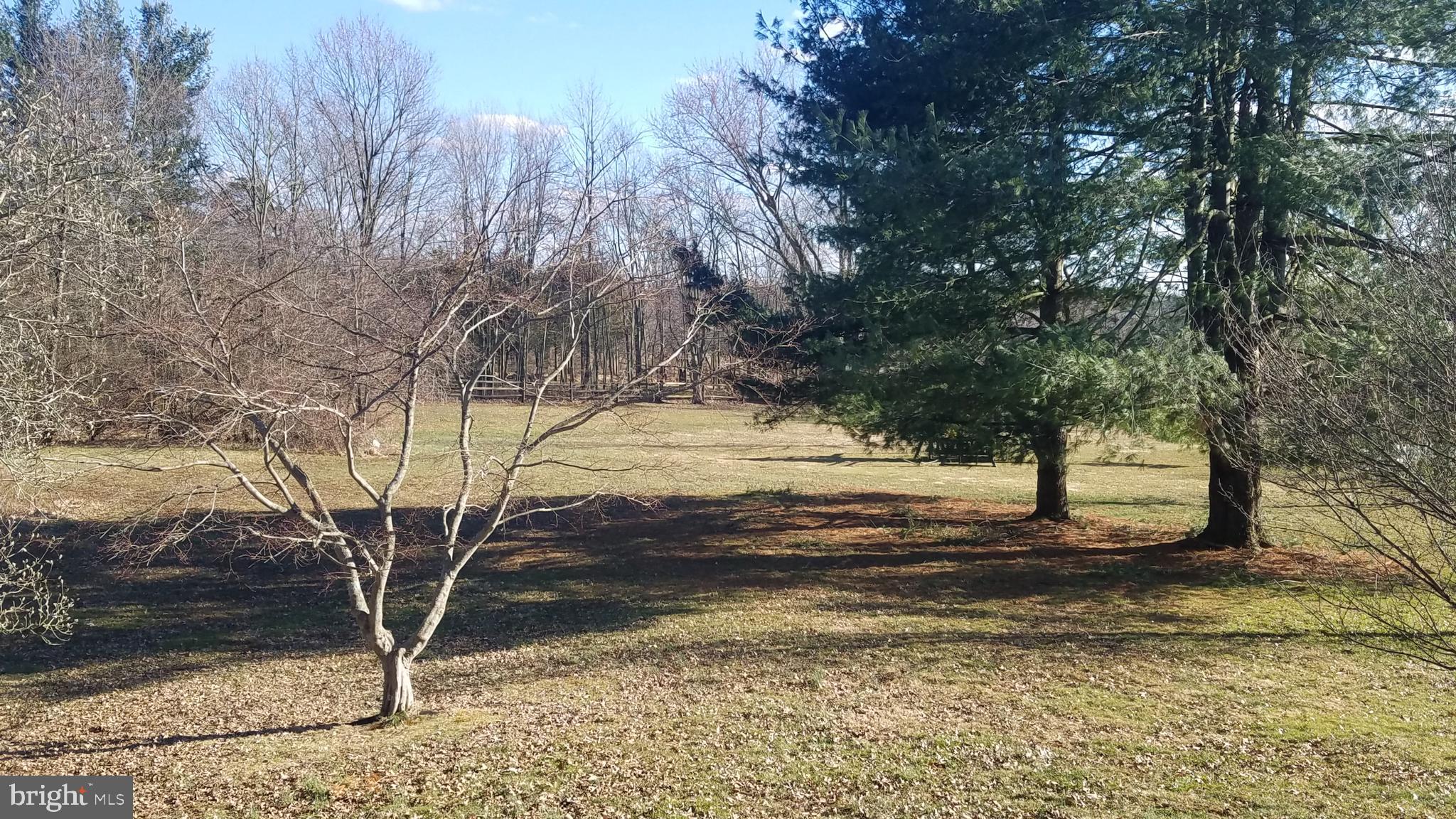 2025 Springer Road Harleysville, PA 19438 - Photo 20 of 29 Large backyard - 1.32 acres