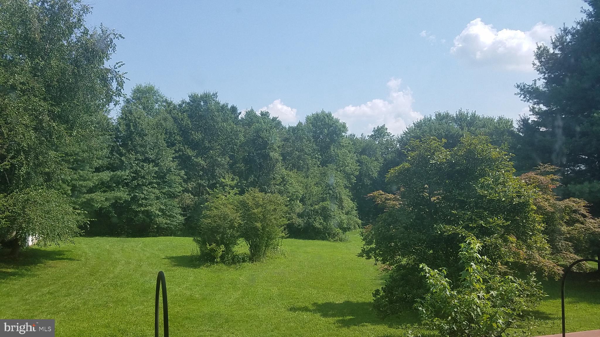 2025 Springer Road Harleysville, PA 19438 - Photo 24 of 29 large backyard in the summer