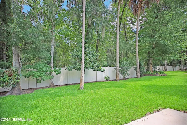 a view of a park with a trees