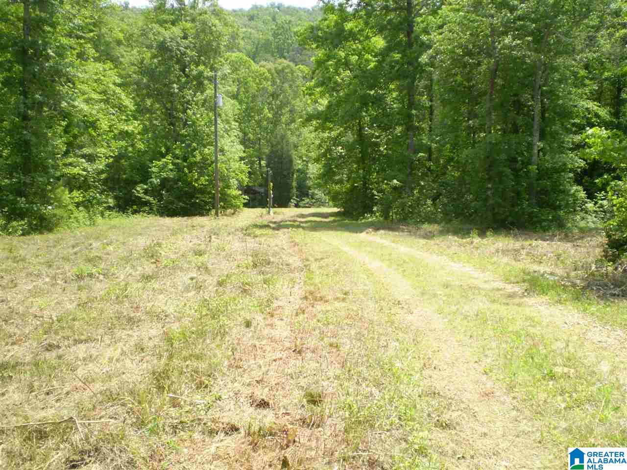 298 Waldrop Road, Unit TR 12 Ashville, AL 35953 - Photo 6 of 29