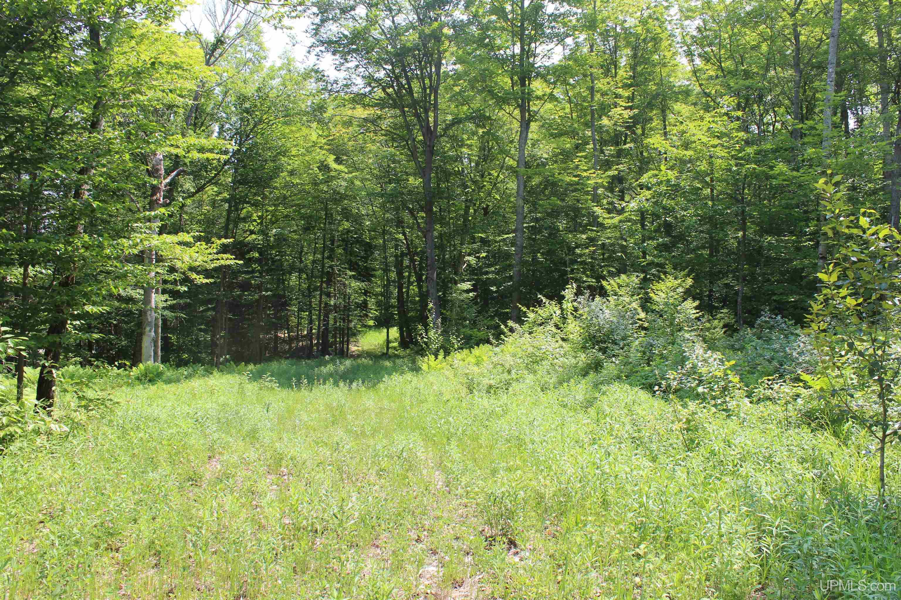 On East Shingleton Road Shingleton, MI 49884 - Photo 13 of 32