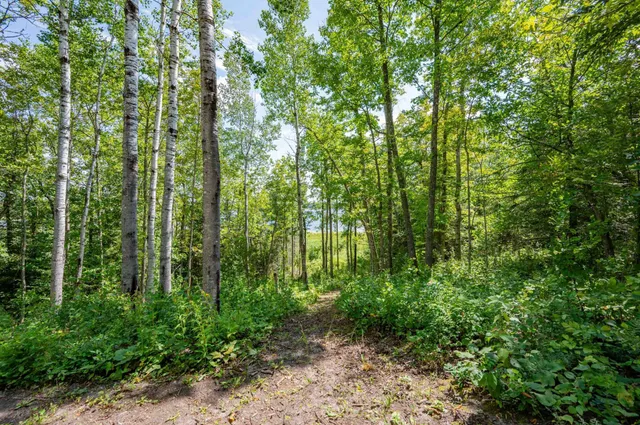 $204,000 | 67488 Busties Lake Access, Effie, MN 56639