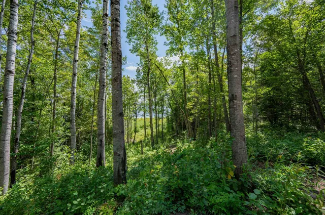 $204,000 | 67488 Busties Lake Access, Effie, MN 56639