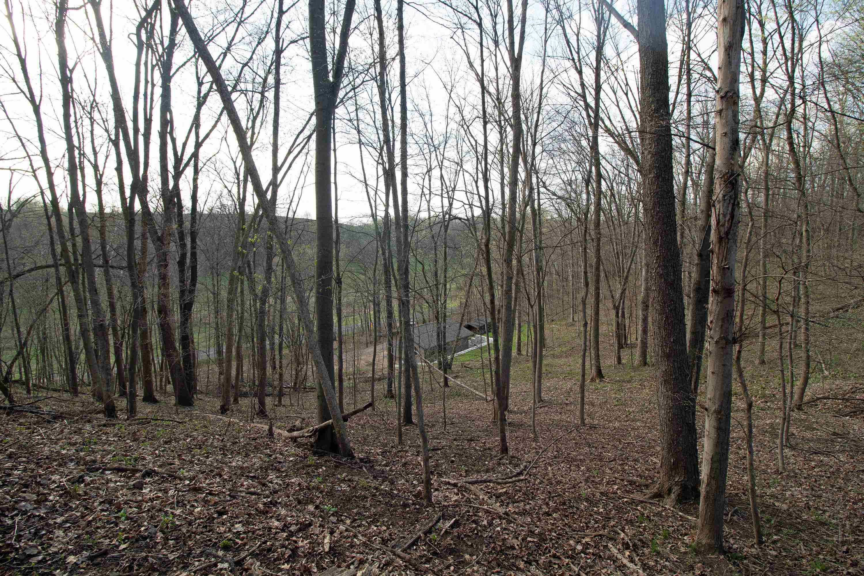 S8642 County Road North Plain, WI 53577 - Photo 31 of 36