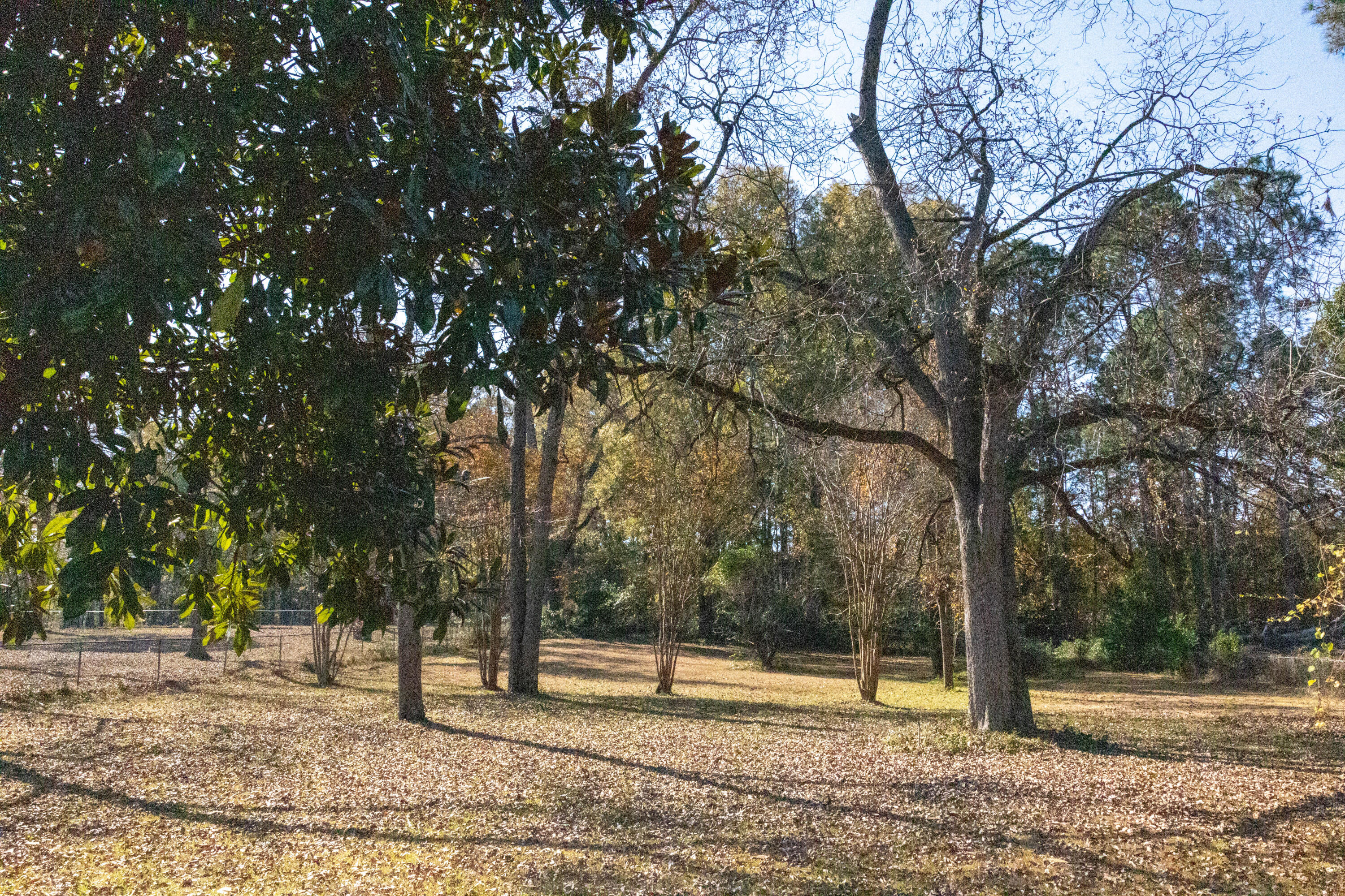125 Lee Street Thomson, GA 30824 - Photo 44 of 52 LeeSt-10