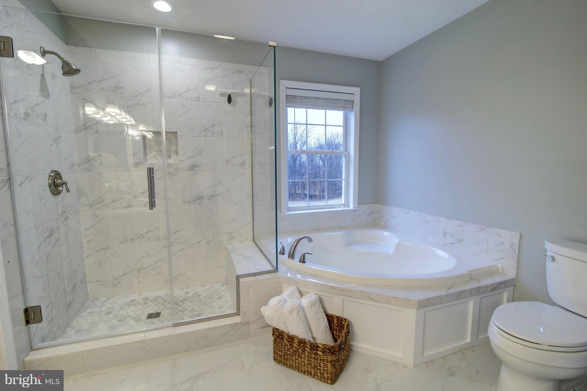 42396 Spinks Ferry Road Leesburg, VA 20176 - Photo 15 of 30 Bath (Master)