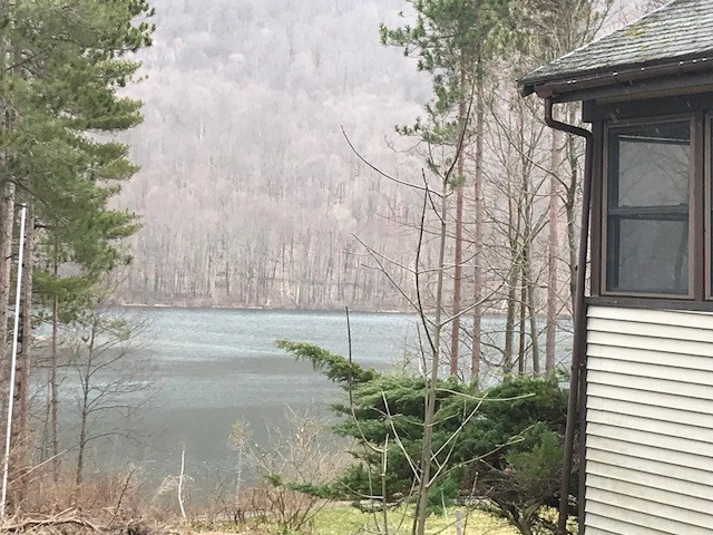 399 Hillside Road Pownal, VT 05261 - Photo 2 of 17