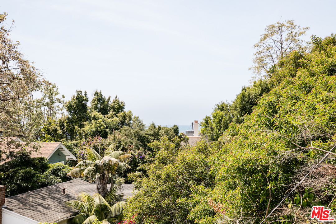 239 West Channel Road Santa Monica, CA 90402 - Photo 30 of 30 a view of a large yard with lots of plants