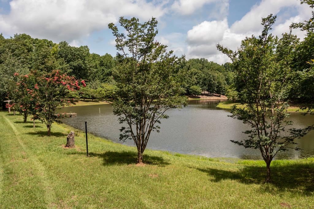 1140 Central Church Road Midland, GA 31820 - Photo 50 of 74 a view of lake