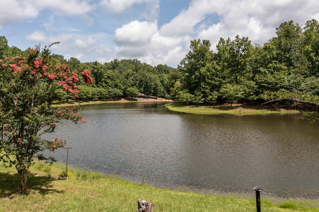 1140 Central Church Road Midland, GA 31820 - Photo 52 of 74 a view of a lake with a house