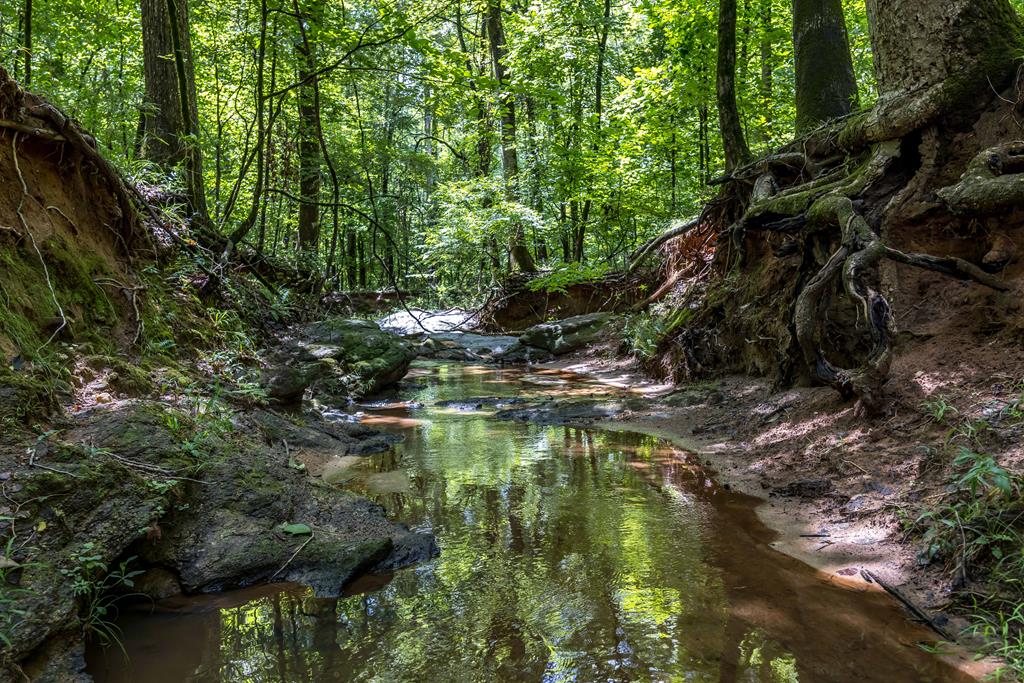 1140 Central Church Road Midland, GA 31820 - Photo 66 of 74