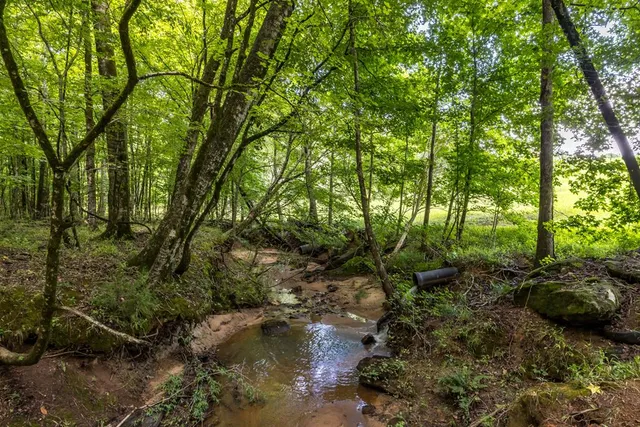 $1,950,000 | 1140 Central Church Road, Midland, GA 31820