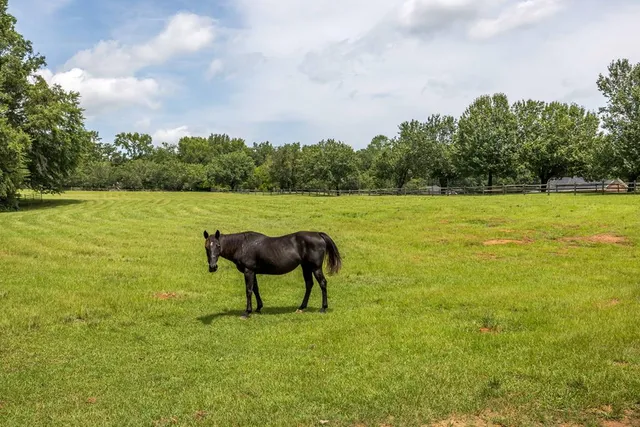 $1,950,000 | 1140 Central Church Road, Midland, GA 31820