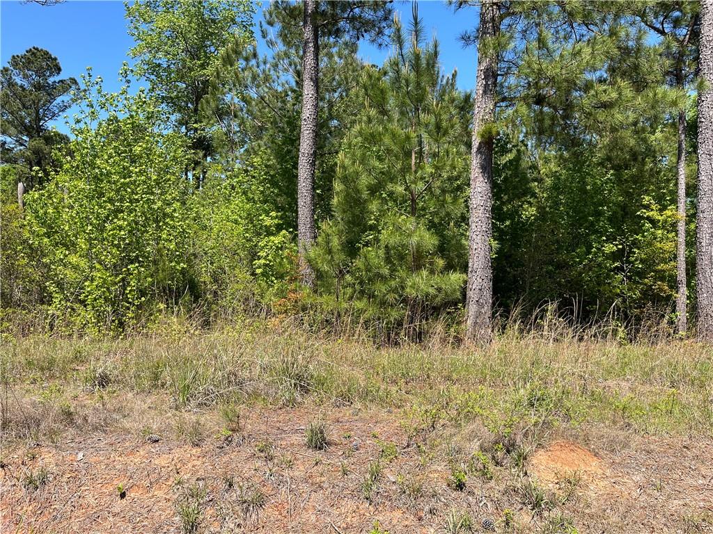 0 Greenburt Road Seale, AL 36875 - Photo 1 of 3 Gallery Image 1