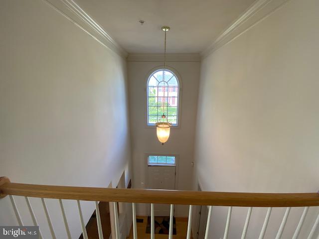 8009 Kingsmill Road Brandywine, MD 20613 - Photo 13 of 24 2 story foyer view