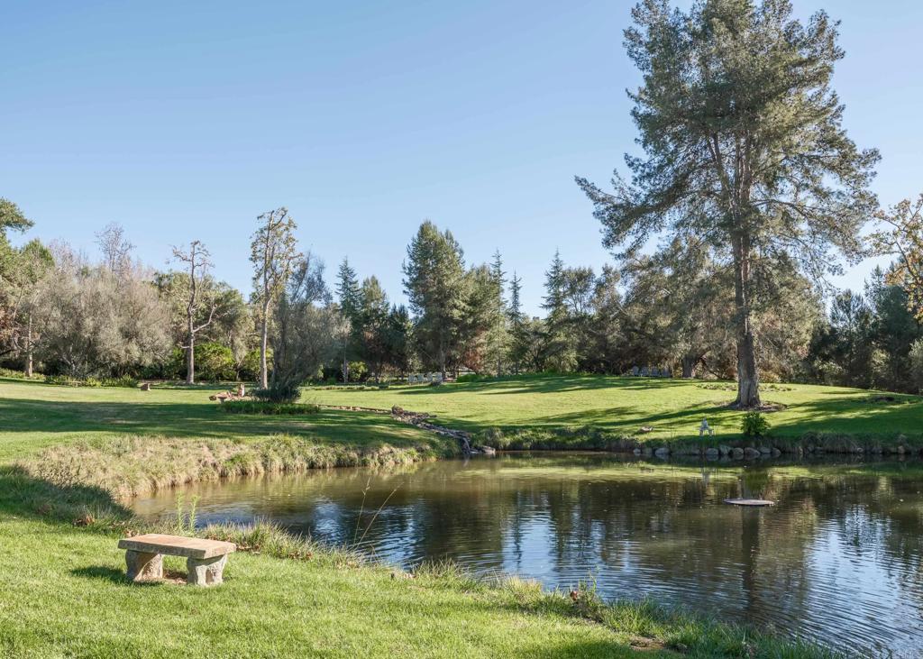a view of a lake with a yard and large trees